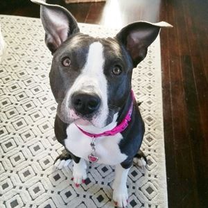 Meet your Posher, Karin